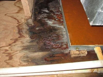 About water damage restoration service - storm damage restoration experts in Sterling